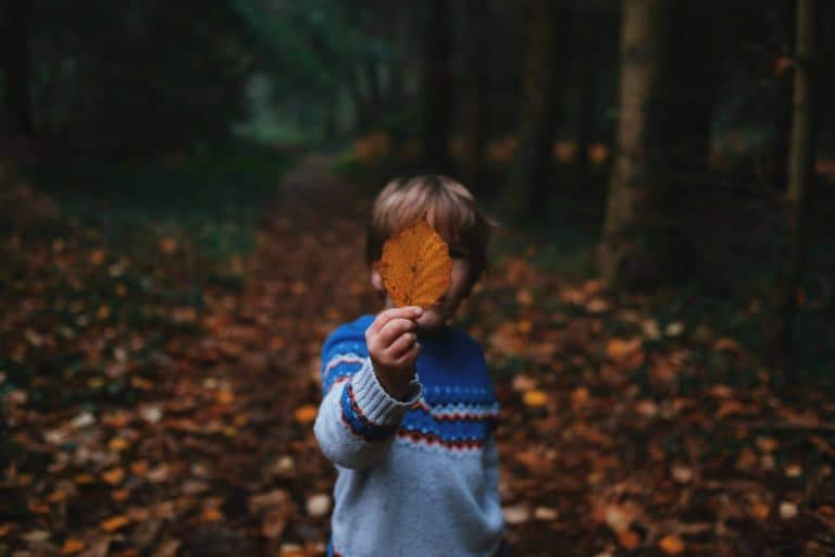 Child Custody Laws: Navigating the Complexities of Shared Parenting